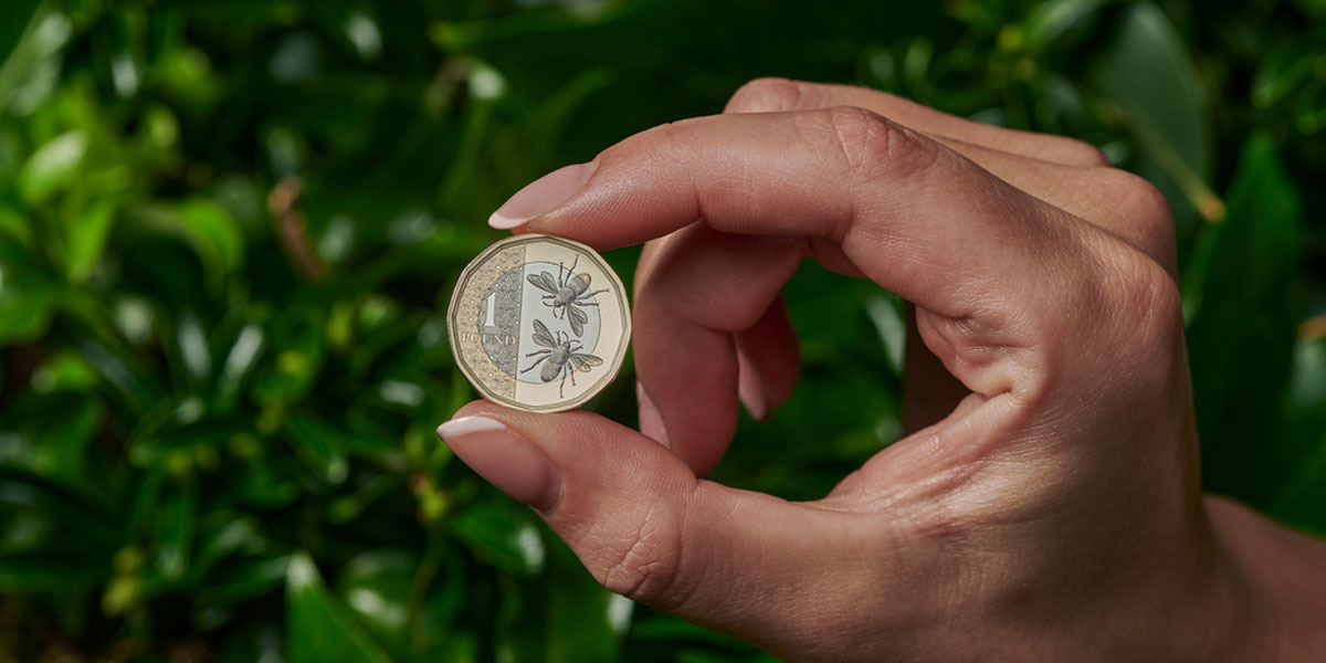 British Bees £1 Coin