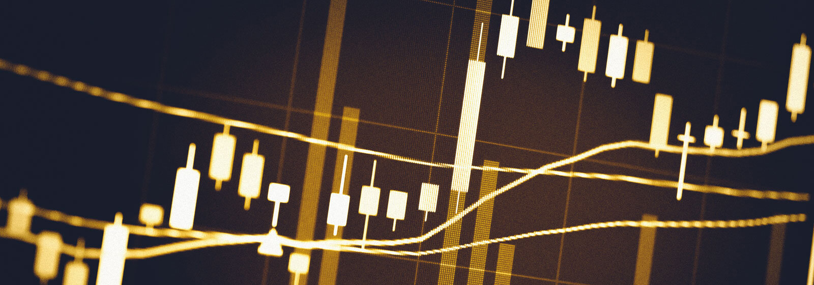 Bull and Bear Markets