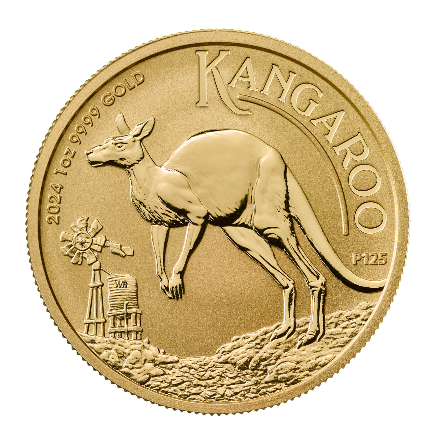 Australian Kangaroo 2024 1oz Gold Bullion Coin 