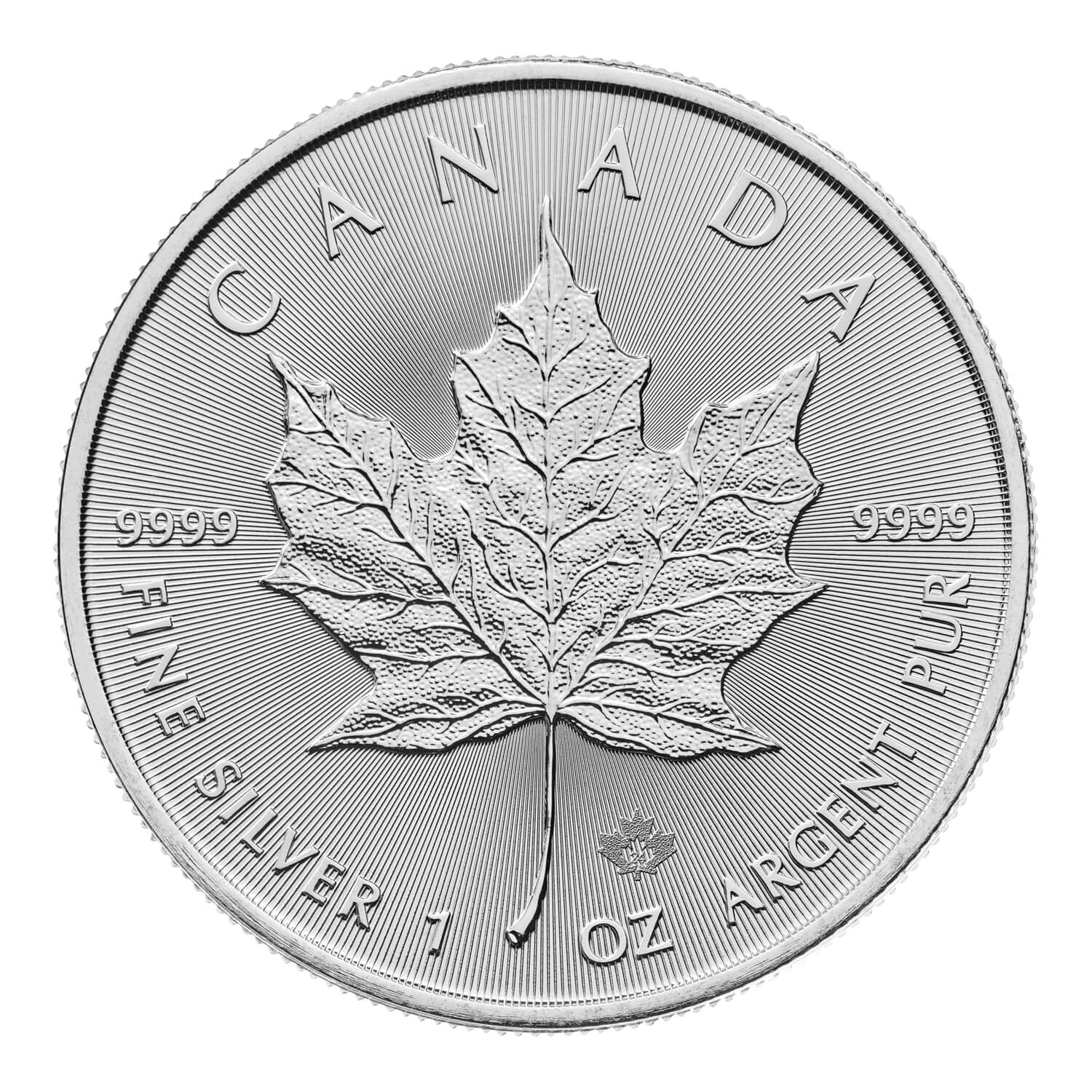 Canadian Maple Leaf 2024 1oz Silver Bullion Coin The Royal Mint