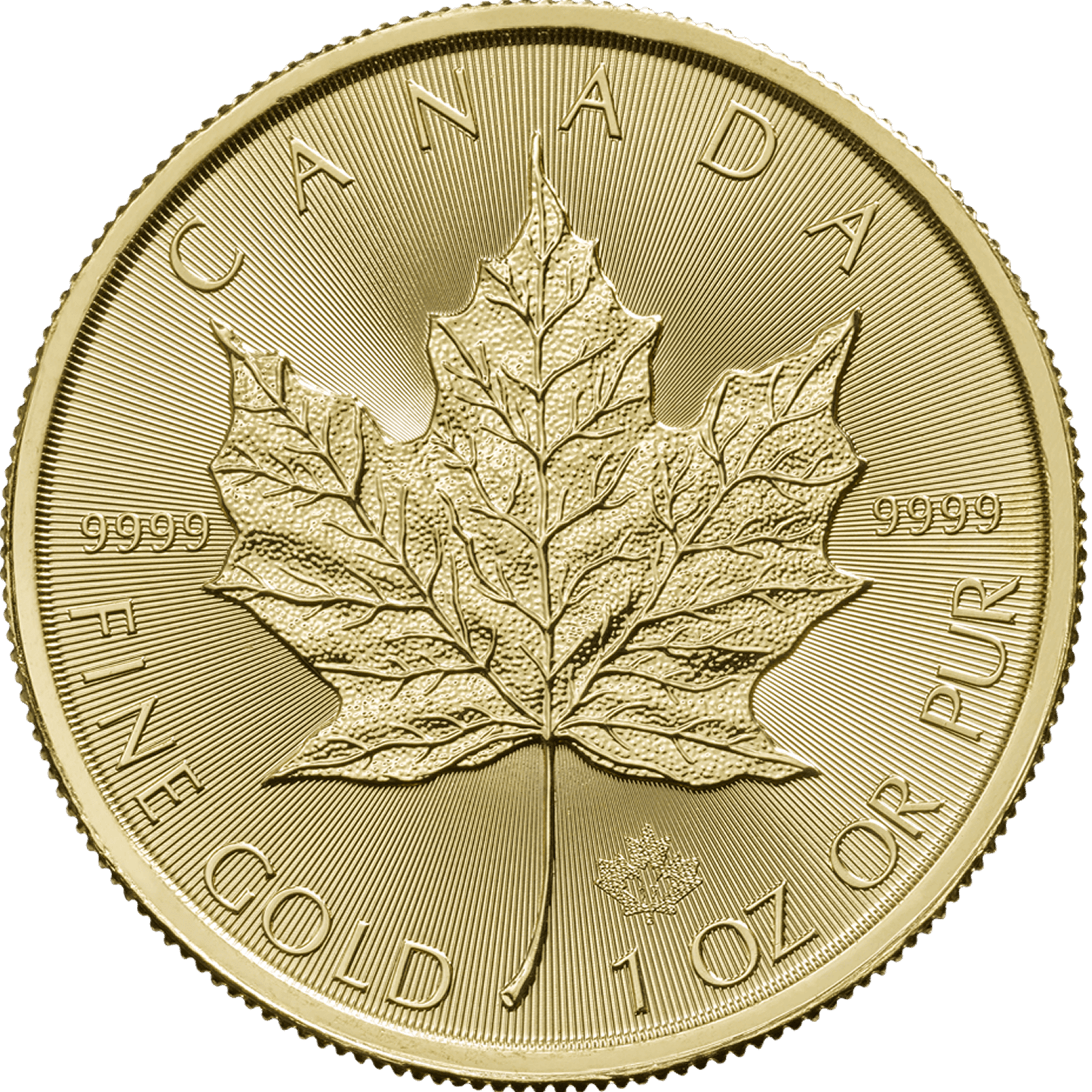 2017 1oz Canadian Maple Leaf Gold Ten Coin Tube | Royal Mint Bullion