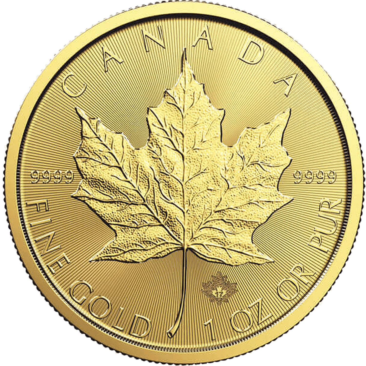 17 1 Oz Canadian Maple Leaf Gold Coin Canadian Mint Royal Mint Bullion