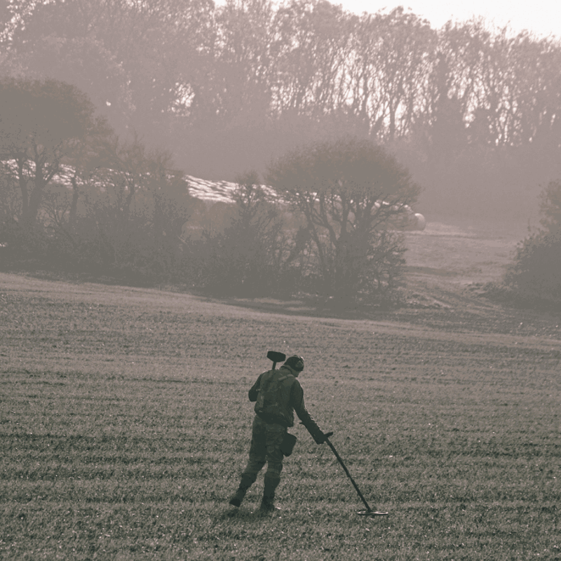 Treasure Hunt - Metal Detecting