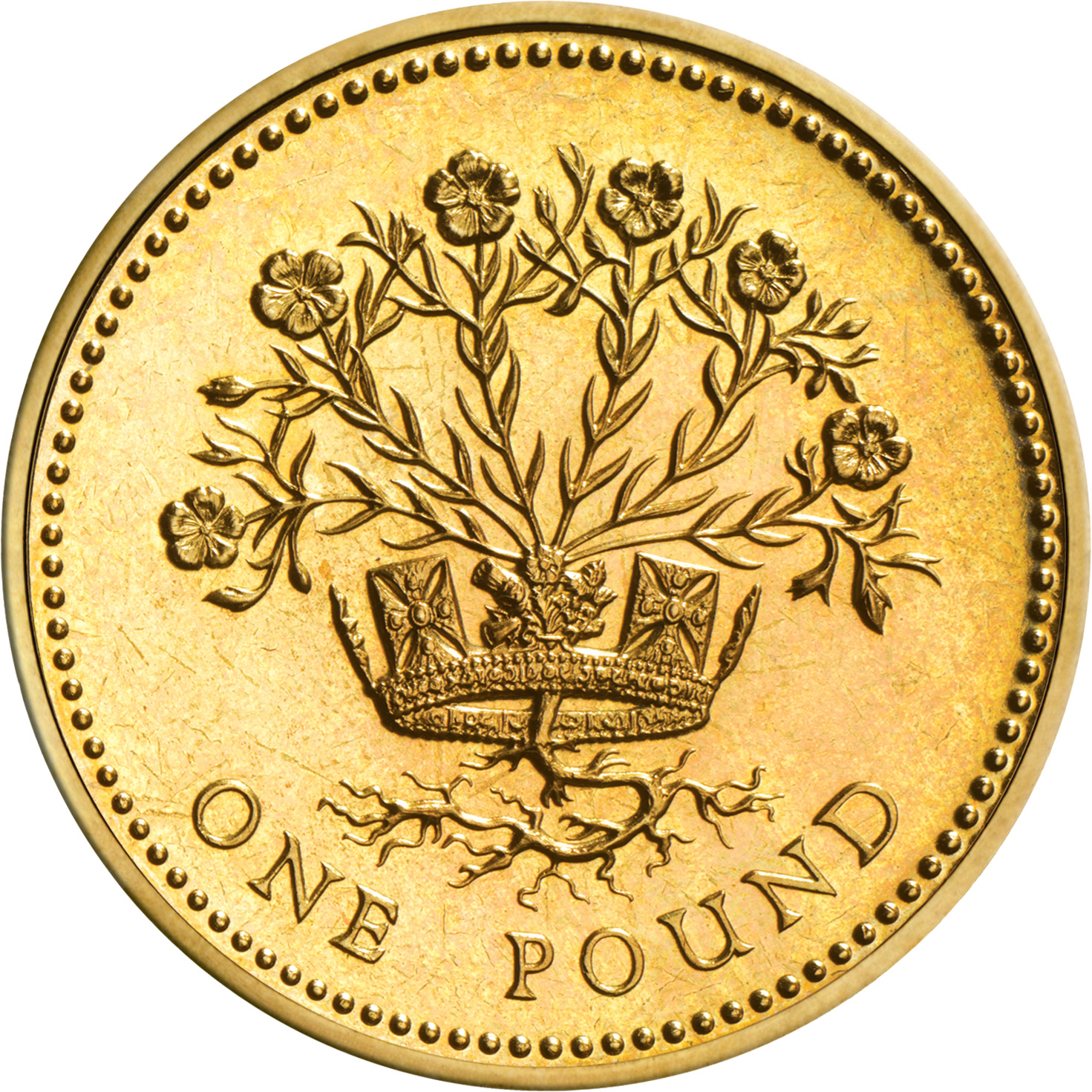 1986-1991-one-pound-coin-the-royal-mint